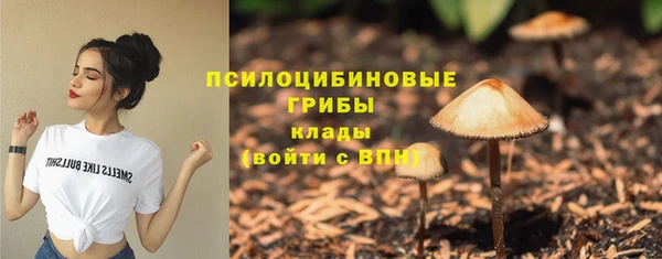 гидра Алзамай