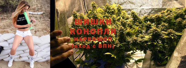 первитин Дмитров