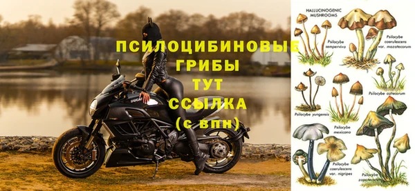 стаф Алексеевка