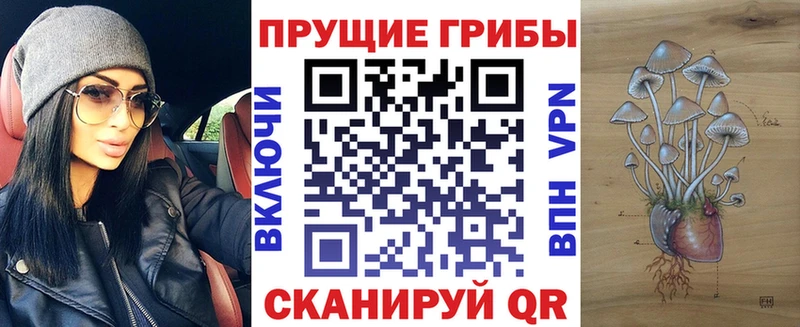 где купить Пыталово Галлюциногенные грибы Psilocybe